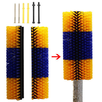 두꺼운 가시 가시 가시 반쪽 가시 가시