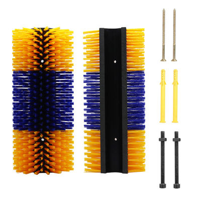 두꺼운 가시 가시 가시 반쪽 가시 가시