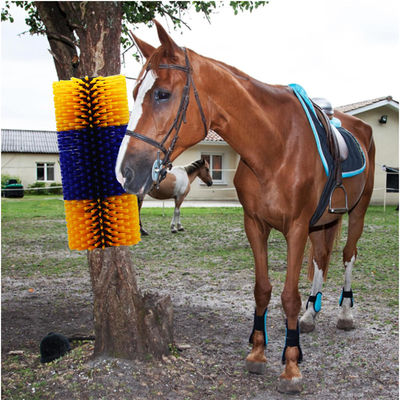 두꺼운 가시 가시 가시 반쪽 가시 가시